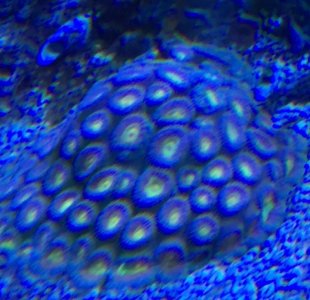 Screen Shot 2018-10-11 at 10.18.29 AM.jpg