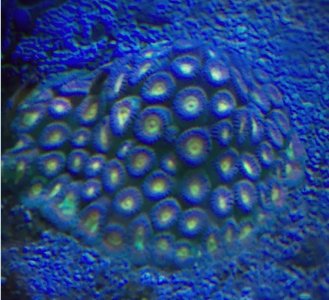 Screen Shot 2018-10-11 at 10.18.23 AM.jpg