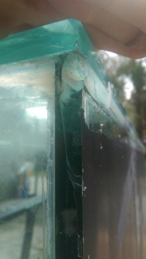 IMAG0208.jpg IMAG0208.jpg