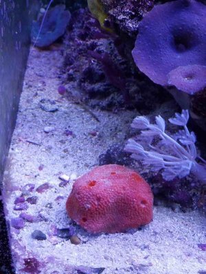20180711_164940.jpg