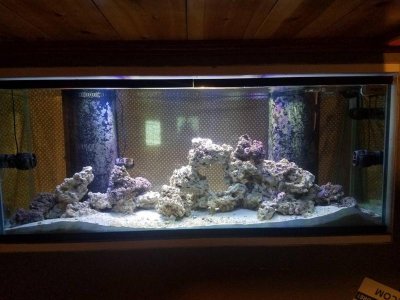 20181010_123533_zpsaalfjv4b.jpg