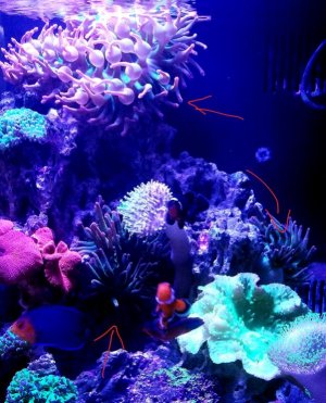 20181015_130959.jpg