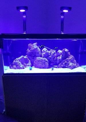 20180804_085256.jpg