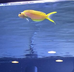 Screen Shot 2018-10-16 at 11.23.01 AM.jpg