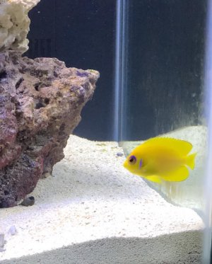 Screen Shot 2018-10-16 at 11.22.53 AM.jpg