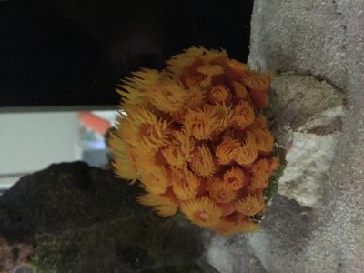 A6C33D39-A8CA-4050-B562-168A03A36DE7.jpg