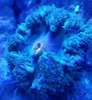 20180806_201012.jpg