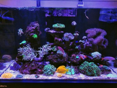 IMAG0927~2b.jpg