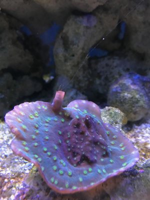 IMG_8194.jpg