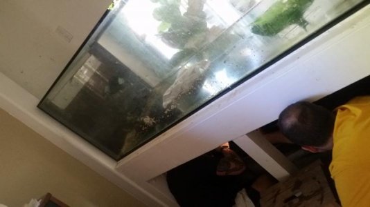 20181021_150229.jpg