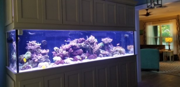 FTS 11 .JPG