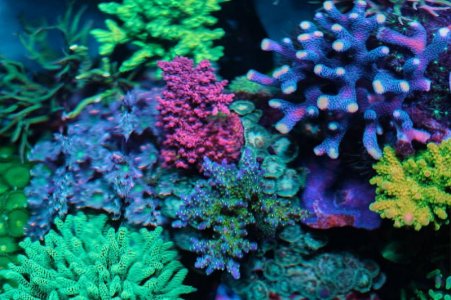 DSCF1751.jpg DSCF1751.jpg