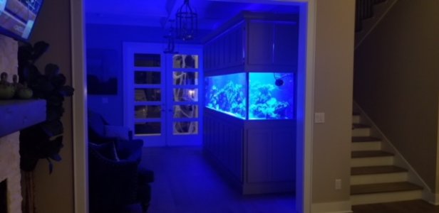 FTS 10.JPG