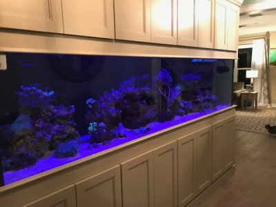 FTS 9 .jpg