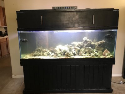 180 gallon.jpg