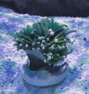 20180811_113959.jpg