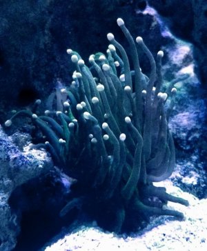 20180811_113028.jpg