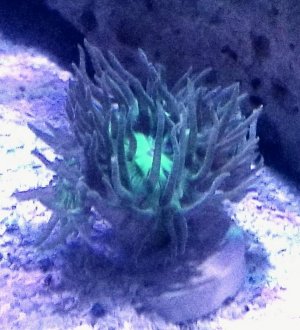 20180811_113307.jpg