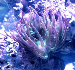 20180811_113531.jpg