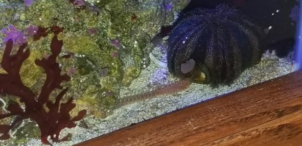 20180811_183838.jpg