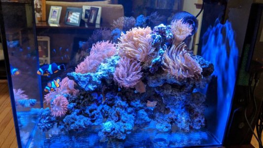 IMG_20181019_160436-01.jpg