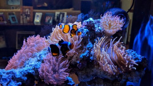 IMG_20181019_160449-01.jpg