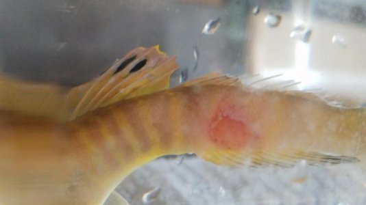 20180815_102440.jpg