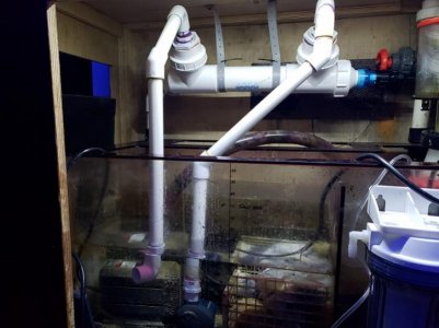 AQ UV installed day 1m.jpg