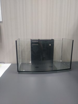 20180813_073819.jpg