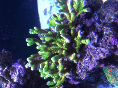 IMG_0386.jpg