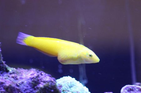 IMG_7261.jpg