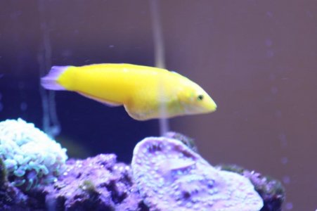 IMG_7263.jpg