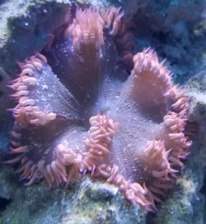 20180825_203559.jpg