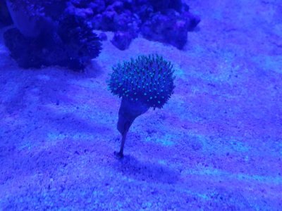 20180826_152650-1.jpg