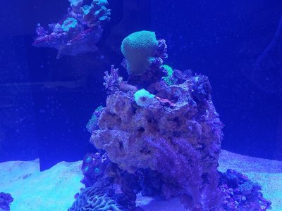 20180826_121134-1.jpg