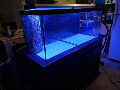 fulltanklights.jpg