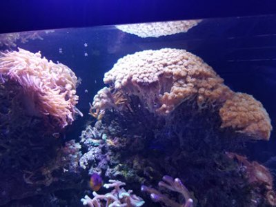 20180629_131551.jpg