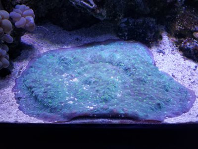 20180629_131618.jpg