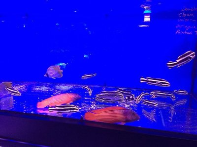 PHOTO-2018-08-26-22-50-02 (1).jpg