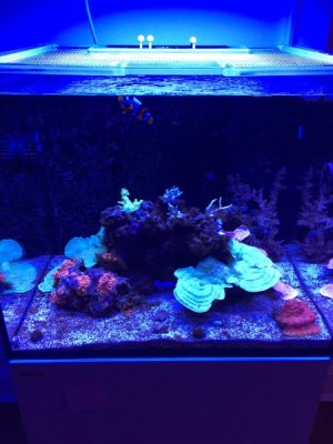 IMG_0912.jpg