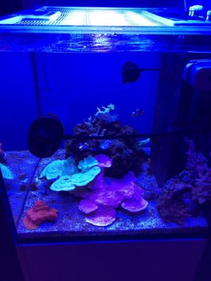 IMG_0911.jpg