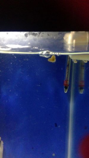 WIN_20181113_13_25_45_Pro (2).jpg