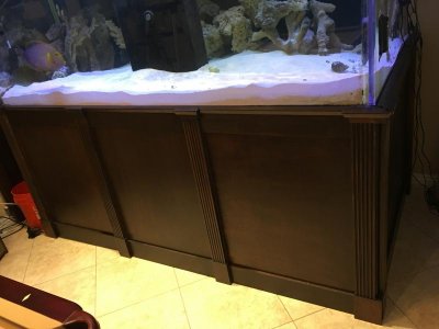 600gstand.jpg 600gstand.jpg