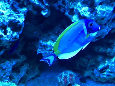IMG_1196.jpg