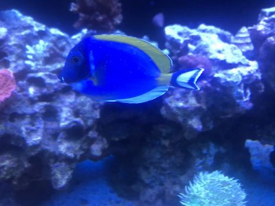 IMG_1218.jpg
