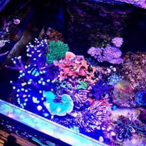 IMG_8117.jpg