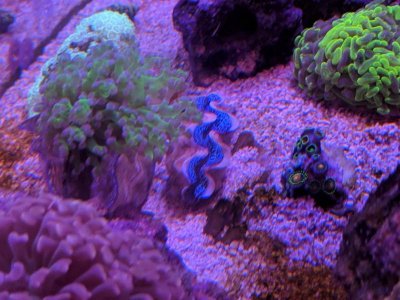 IMG_20181109_154836_1.jpg