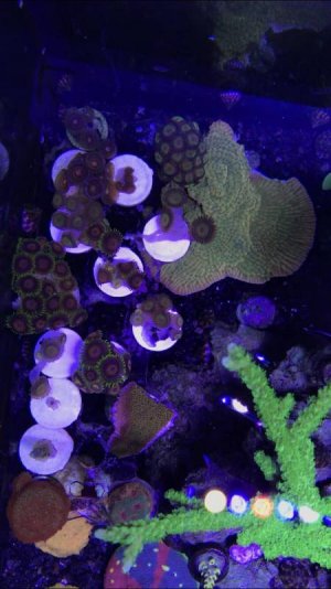 IMG_8770.jpg