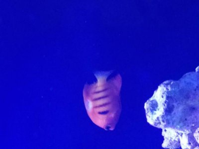 20181126_180449.jpg