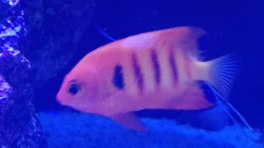 20181126_182104.jpg